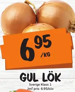 Bazaar Food market Gul lök erbjuda