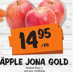 Bazaar Food market Äpple jona gold erbjuda