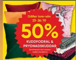 DollarStore Kuddfodral & prydnadskuddar erbjuda