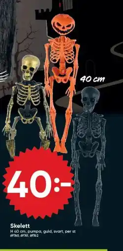 DollarStore Skelett erbjuda