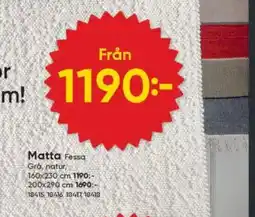 DollarStore Matta Fessa erbjuda