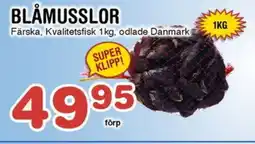 Nya Pulsen Blåmusslor erbjuda