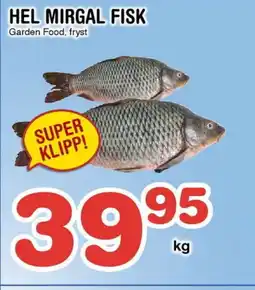Nya Pulsen Hel mirgal fisk erbjuda