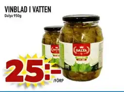 Prisma Mat DALYA Vinblad i vatten erbjuda