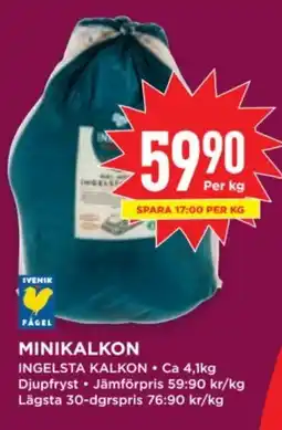 Willys INGELSTA KALKON Minikalkon erbjuda