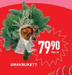 Willys Gravbukett erbjuda
