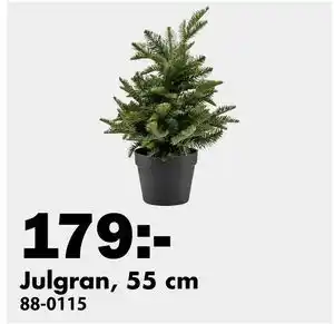 Biltema Julgran, 55 cm, SEK 179 erbjuda
