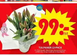 ICA Maxi Tulpaner 12-pack erbjuda