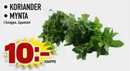 Din Mat Koriander erbjuda