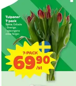 Stora Coop Tulpaner 7-pack, SEK 69.9 erbjuda