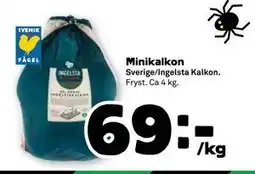 Stora Coop Minikalkon, SEK 69 erbjuda