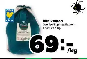 Stora Coop Minikalkon, SEK 69 erbjuda