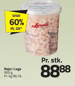 Fleggaard Rejer i Lage erbjuda