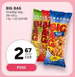 Scandinavian Park Big bag erbjuda