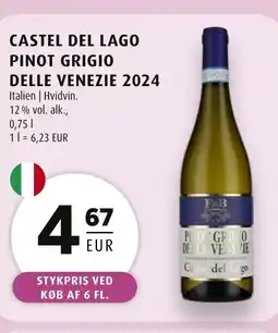 Scandinavian Park Castel del lago pinot grigio delle venezie 2024 erbjuda