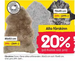 Rusta Fårskinn erbjuda