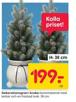 Rusta Dekorationsgran i kruka erbjuda