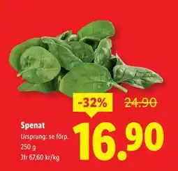 Lidl Spenat, SEK 16.9 erbjuda