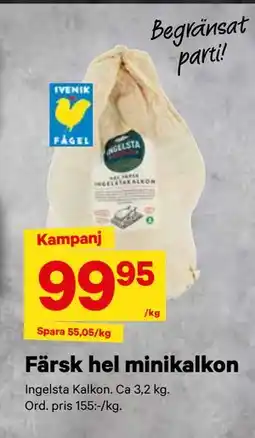 City Gross Färsk hel minikalkon, SEK 99.95 erbjuda