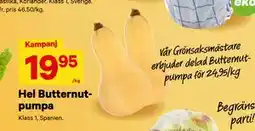 City Gross Hel Butternutpumpa, SEK 19.95 erbjuda