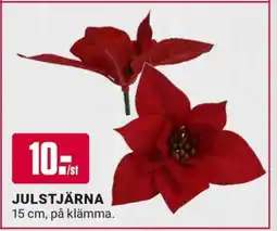 ÖoB JULSTJÄRNA erbjuda