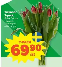 Stora Coop TULPANER 7-PACK erbjuda