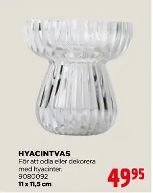 Jem&Fix HYACINTVAS, SEK 49.95 erbjuda