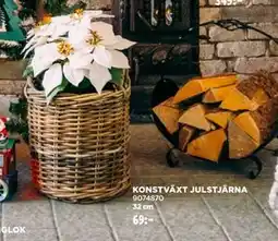 Jem&Fix KONSTVÄXT JULSTJÄRNA, SEK 69 erbjuda