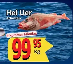 Supergrossen Hel Uer, SEK 99.95 erbjuda