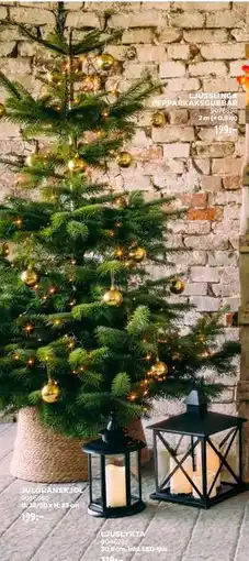 Jem&Fix JULGRANSKJOL, SEK 199 erbjuda