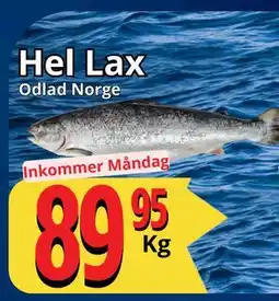 Supergrossen Hel Lax, SEK 89.95 erbjuda