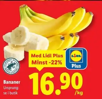 Bananer