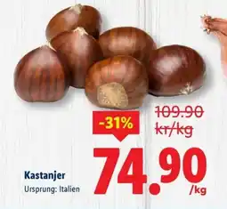Lidl Kastanjer erbjuda