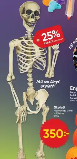 DollarStore Skelett erbjuda