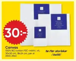 DollarStore Canvas erbjuda