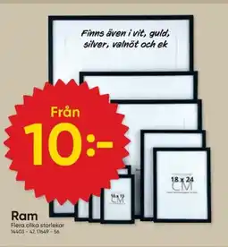 DollarStore Ram erbjuda