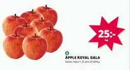 Tempo Äpple royal gala erbjuda