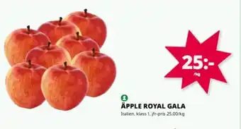 Tempo Äpple royal gala erbjuda