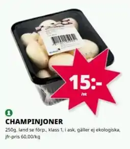 Tempo Champinjoner erbjuda
