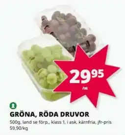 Tempo Gröna, röda druvor erbjuda