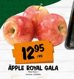 Bazaar Food market Äpple royal gala erbjuda