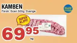 Nya Pulsen SCAN Kamben erbjuda