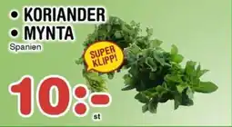 Nya Pulsen Koriander • Mynta erbjuda