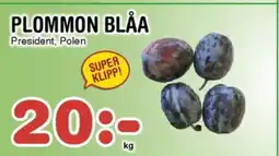 Nya Pulsen Plommon blåa erbjuda