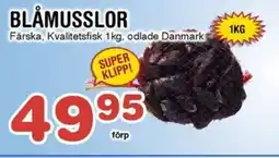 Nya Pulsen Blåmusslor erbjuda