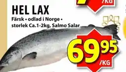 Matvärlden Tensta Hel lax erbjuda