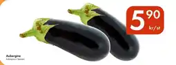 Snabbgross Aubergine erbjuda