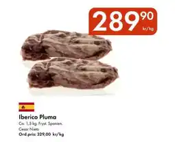 Snabbgross Iberico pluma erbjuda