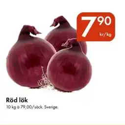 Snabbgross Röd lök erbjuda