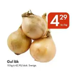 Snabbgross Gul lök erbjuda